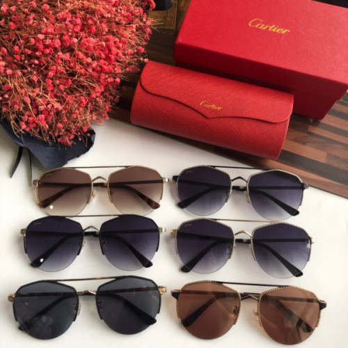 Ca*t*er-glasses-11