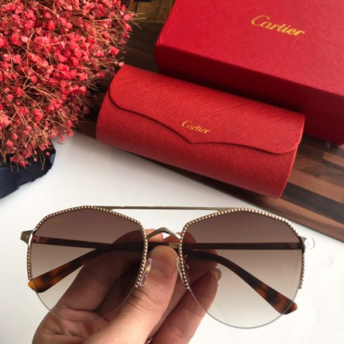 Ca*t*er-glasses-11