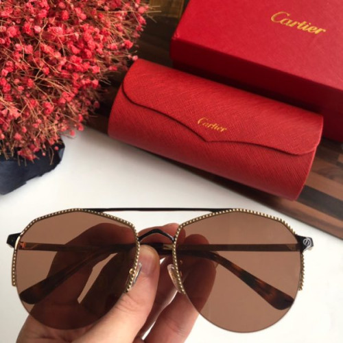 Ca*t*er-glasses-11