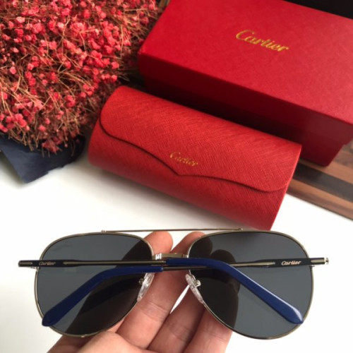 Ca*t*er-glasses-12