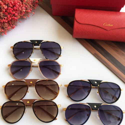 Ca*t*er-glasses-13