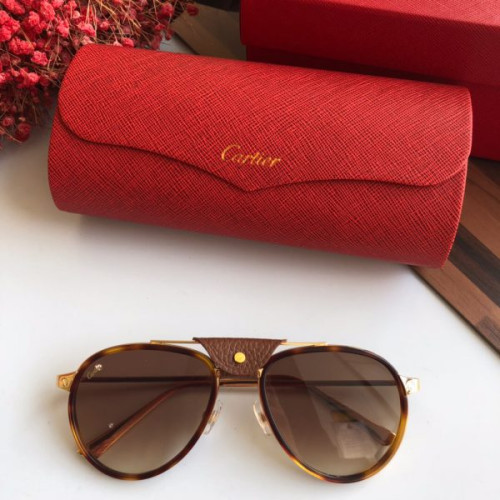 Ca*t*er-glasses-13