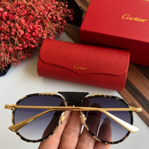 Ca*t*er-glasses-13