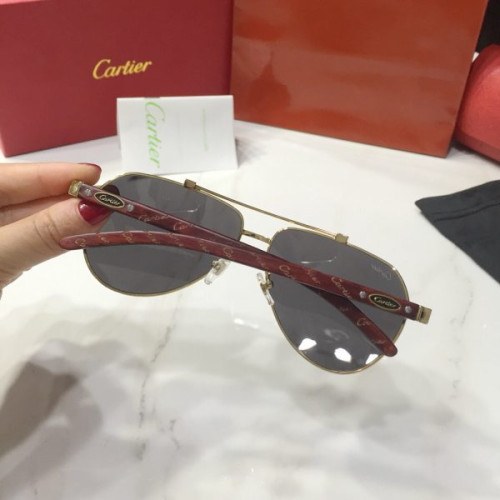 Ca*t*er-glasses-4