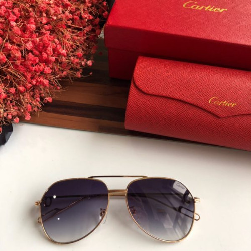 Ca*t*er-glasses-7