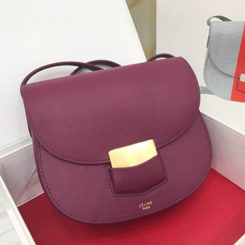 Ce**e-trotteur-bag-13