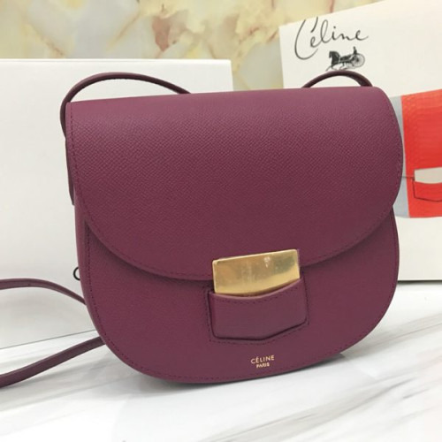 Ce**e-trotteur-bag-13