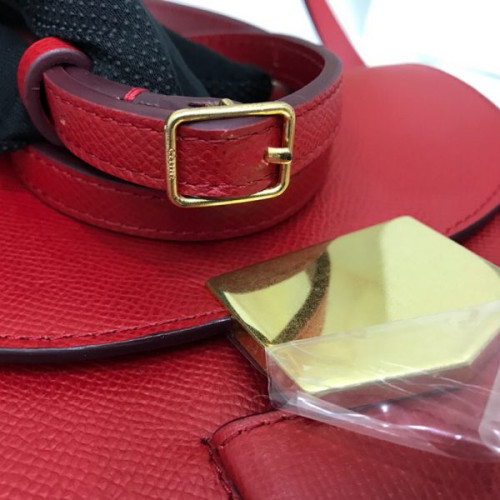 Ce**e-trotteur-bag-7