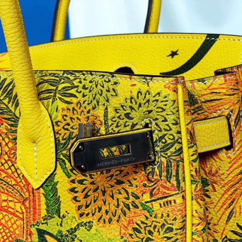 H**mes-birkin-25-5-6-7-2-3-6-4-3-2
