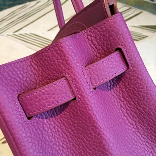 H**mes-birkin-38