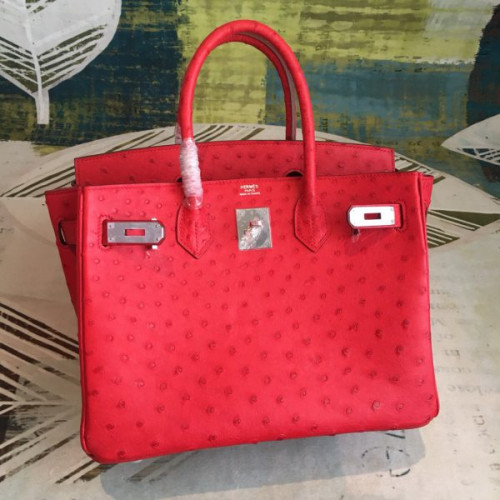 H**mes-birkin-50