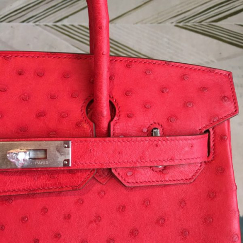 H**mes-birkin-50