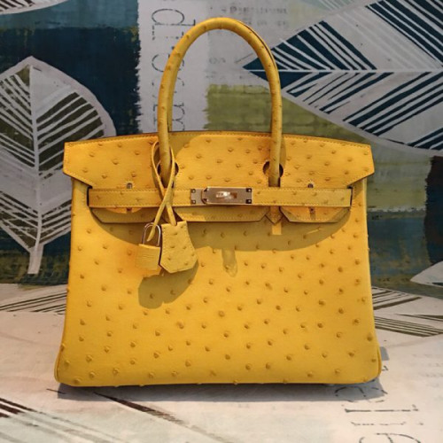H**mes-birkin-51