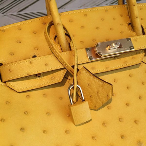 H**mes-birkin-51