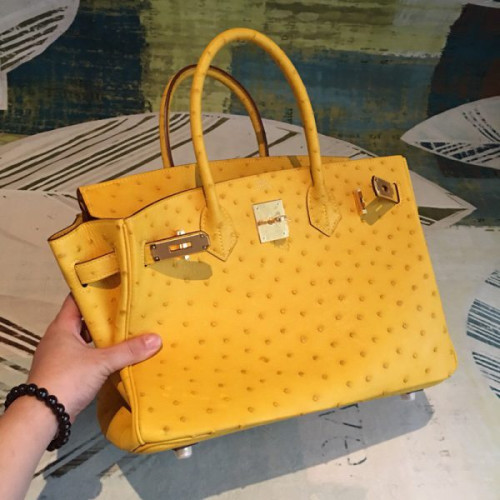H**mes-birkin-51