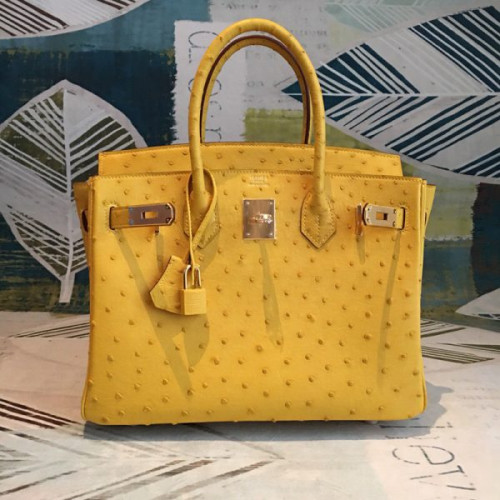 H**mes-birkin-51