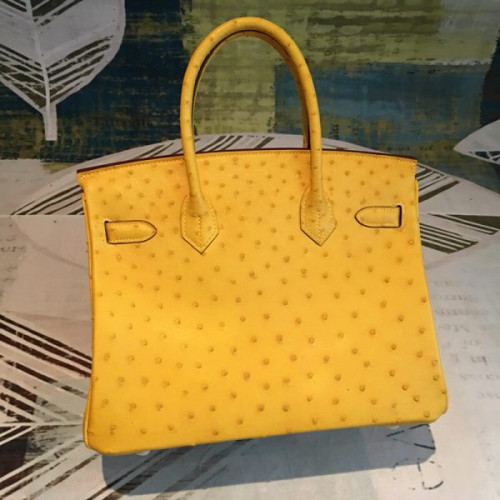 H**mes-birkin-51