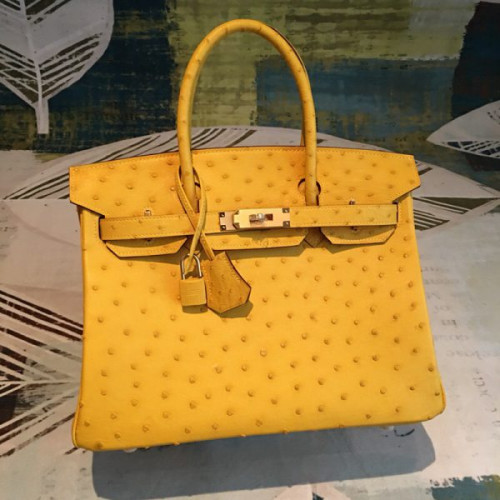 H**mes-birkin-51