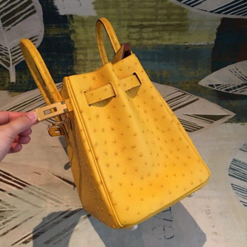 H**mes-birkin-51