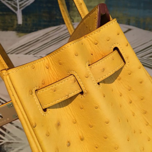 H**mes-birkin-51