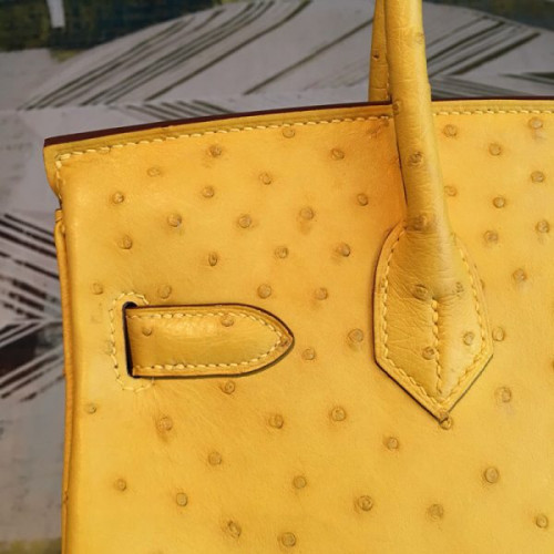 H**mes-birkin-51