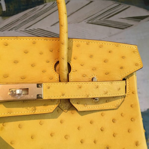 H**mes-birkin-51
