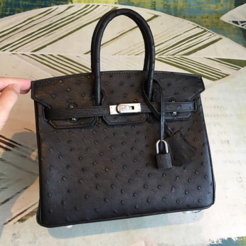 H**mes-birkin-53