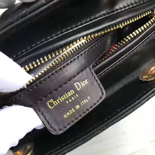 lady-D*or-15-2