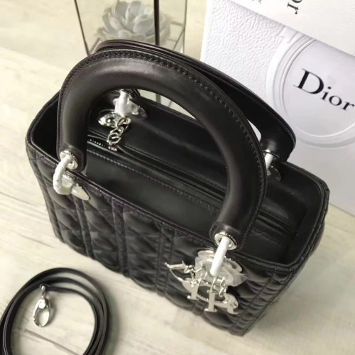 lady-D*or-15