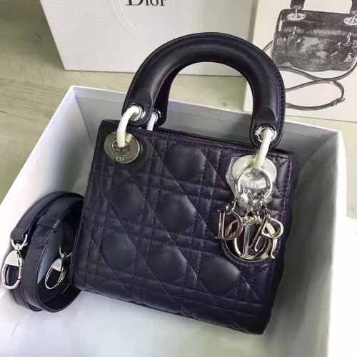 lady-D*or-mini-6-2