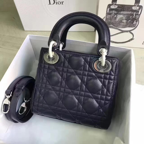 lady-D*or-mini-6-2