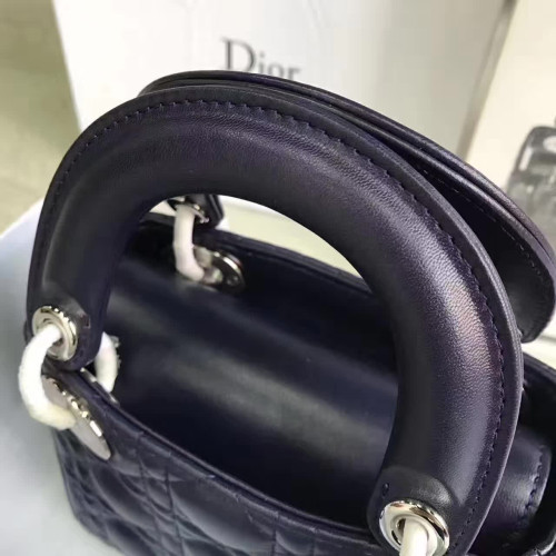 lady-D*or-mini-6-2