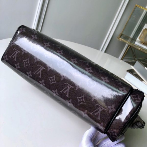 l0*is-V*t0n-camera-bag
