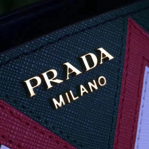 Pra*a-bag-100