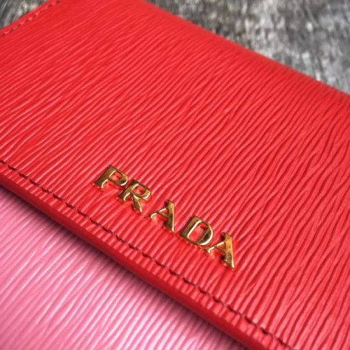 Pra*a-bag-254