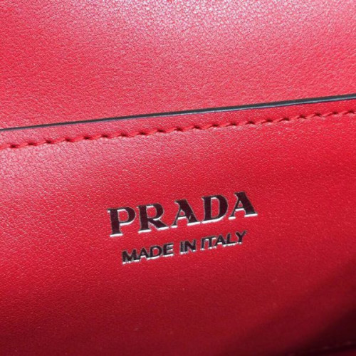 Pra*a-monochrome-logo
